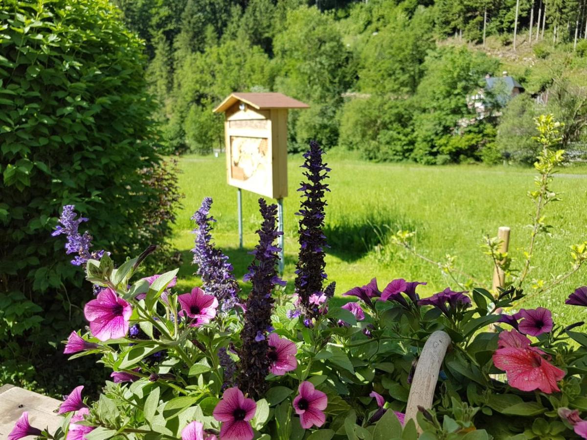 Feriendomizil Wetzelberger Daire Monichwald Dış mekan fotoğraf
