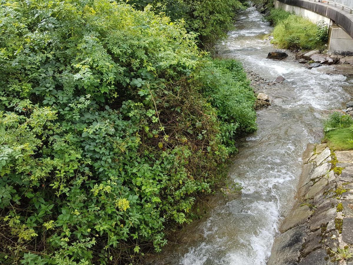 Feriendomizil Wetzelberger Daire Monichwald Dış mekan fotoğraf